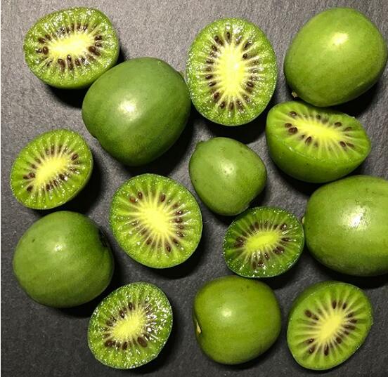 奇异莓食用价值高 有助美白淡斑、预防便秘、维持皮肤弹性 哪一种人不宜食用?