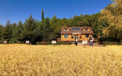 三江昊大米:从源头严把质量关,让您吃上放心的好米