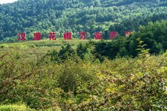 管氏翅吧原产地溯源来到汉源 探秘“贡椒”之味